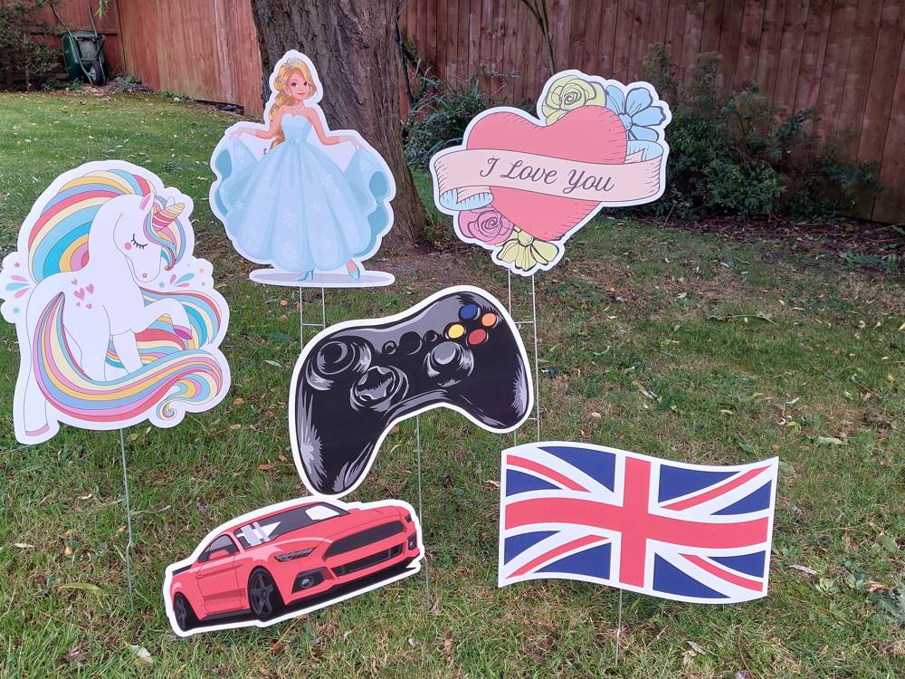 Unicorn, princess, gamer, car and flag accessories