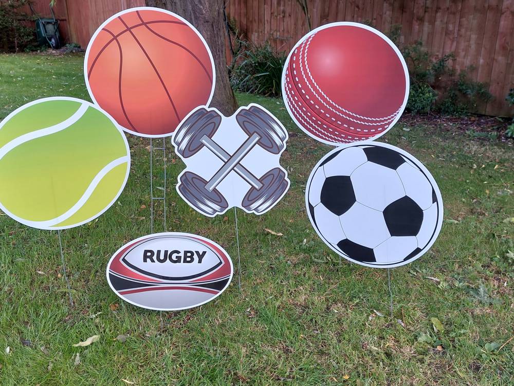 Sports ball accessory set